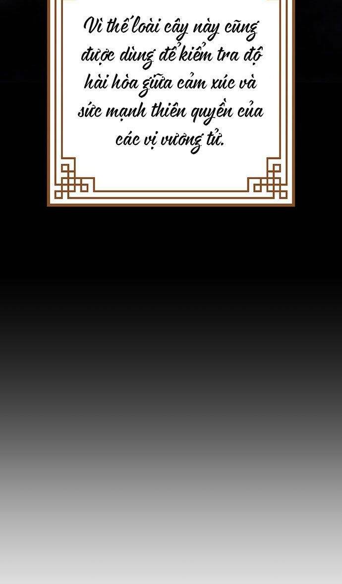 Vương Tử Huyền Bí Chapter 45 - Trang 2