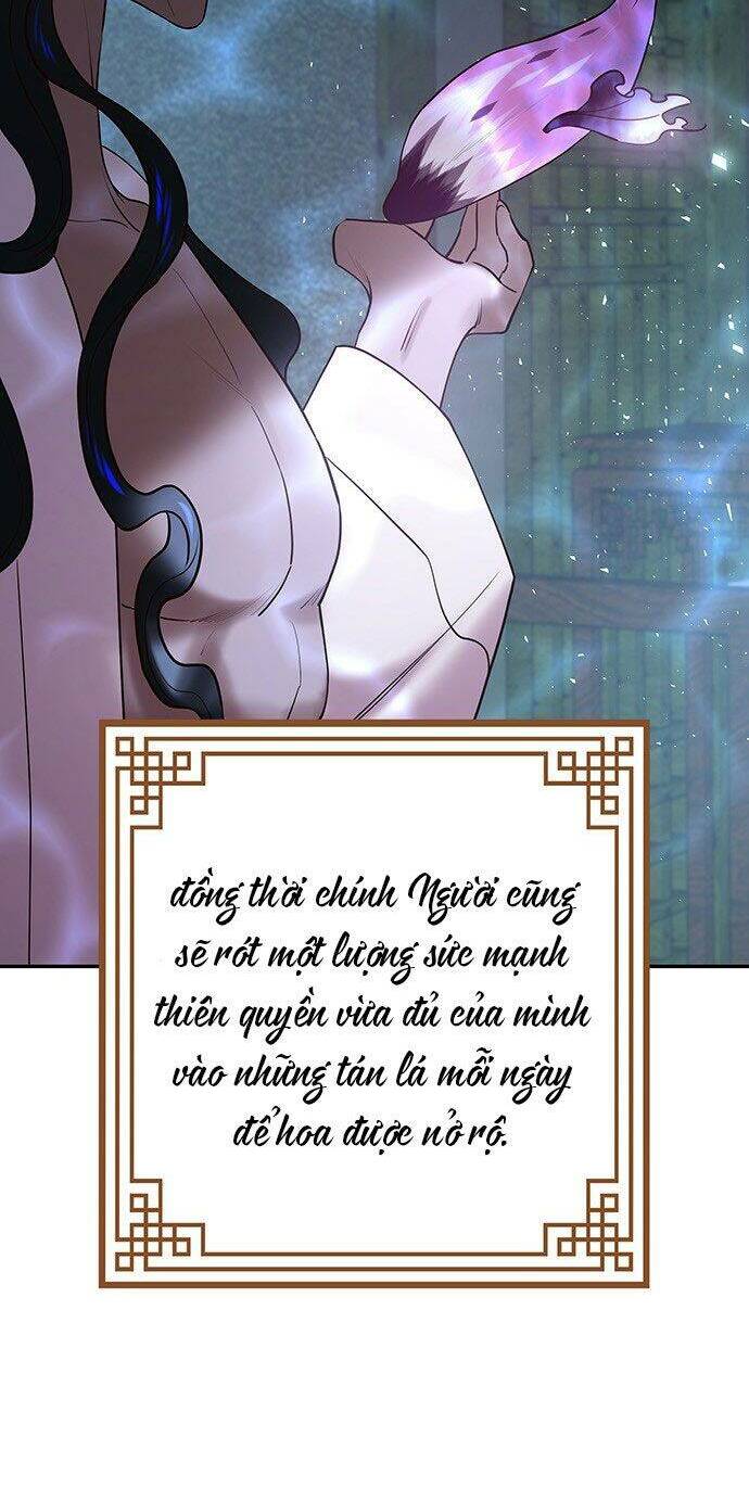 Vương Tử Huyền Bí Chapter 45 - Trang 2