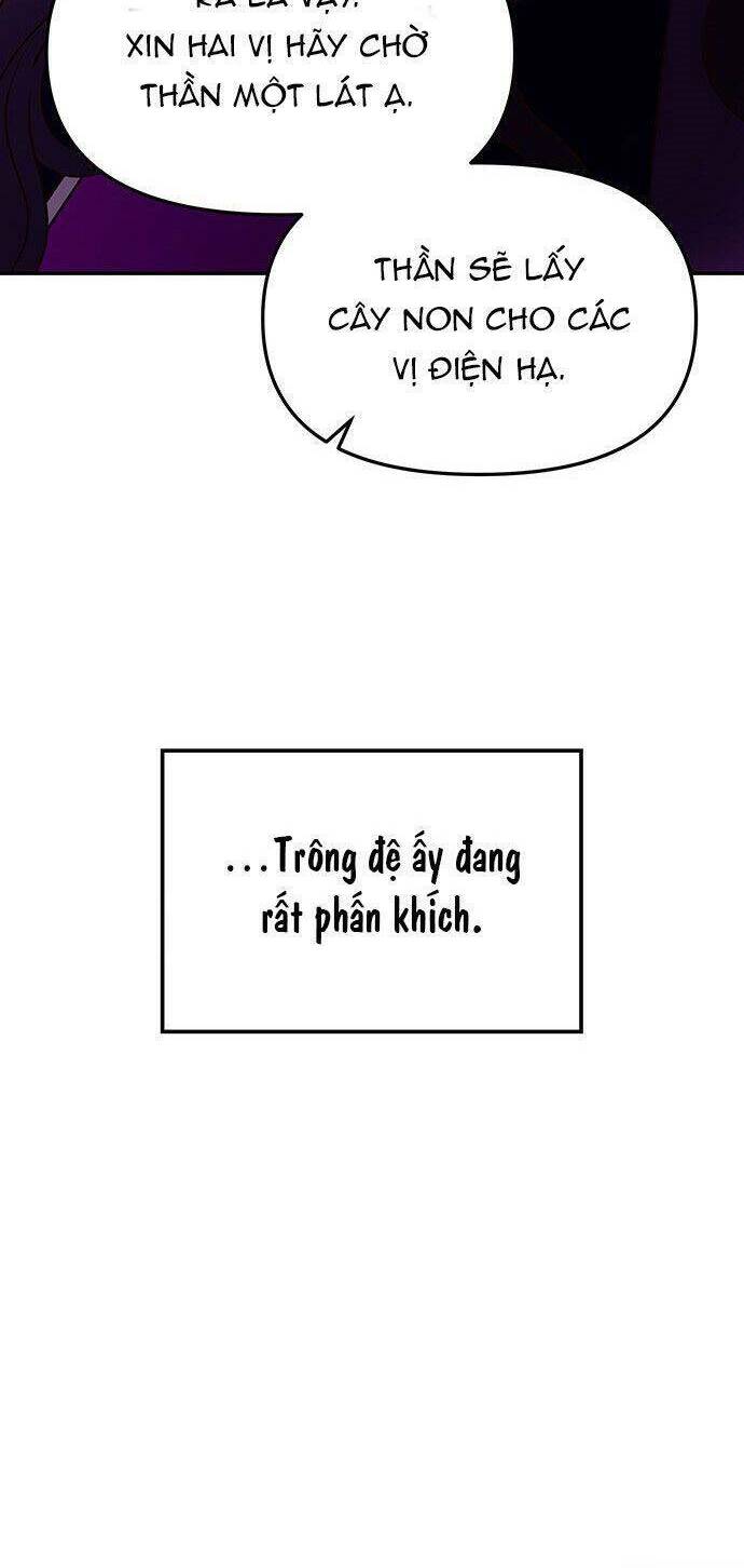 Vương Tử Huyền Bí Chapter 46 - Trang 2