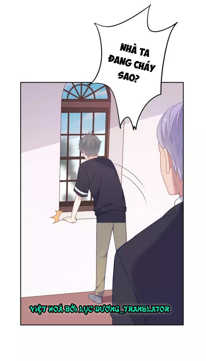 Vương Tử Thành Phố Và Công Chúa Amazon Chapter 4 - Trang 2