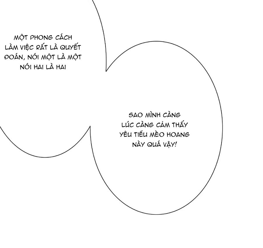 Vương Tước Tư Hữu Bảo Bối Chapter 62 - Trang 2