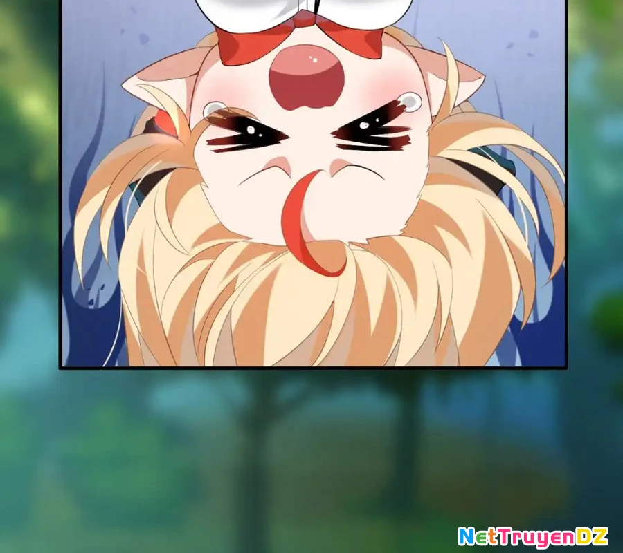 Vượt Cấp Xuyên Không, Tại Sao Tôi Lại Trở Thành Tiểu Thư Tu Sĩ? Chapter 11 - Trang 2