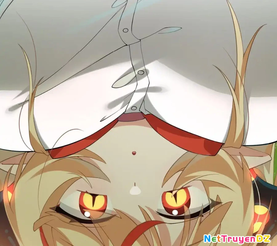 Vượt Cấp Xuyên Không, Tại Sao Tôi Lại Trở Thành Tiểu Thư Tu Sĩ? Chapter 11 - Trang 2