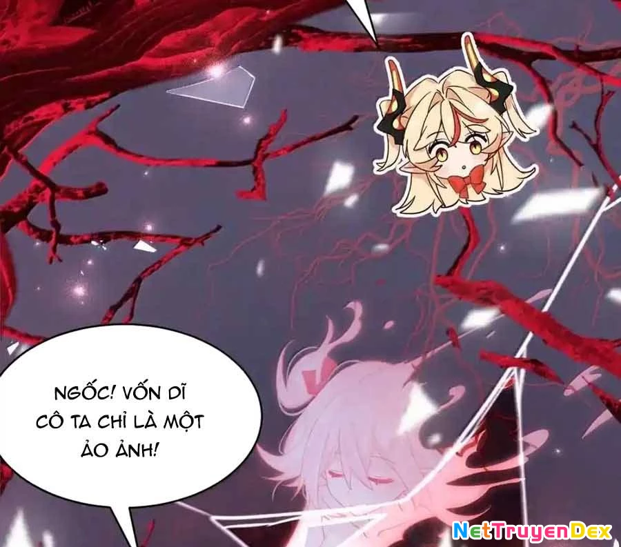 Vượt Cấp Xuyên Không, Tại Sao Tôi Lại Trở Thành Tiểu Thư Tu Sĩ? Chapter 20 - Trang 2