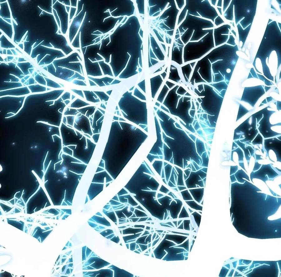 Vượt Cấp Xuyên Không, Tại Sao Tôi Lại Trở Thành Tiểu Thư Tu Sĩ? Chapter 36 - Trang 2