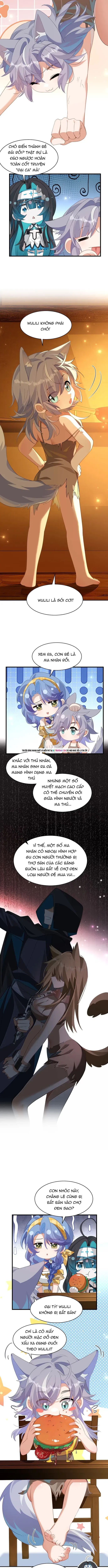 Vượt Cấp Xuyên Không, Tại Sao Tôi Lại Trở Thành Tiểu Thư Tu Sĩ? Chapter 55 - Trang 2