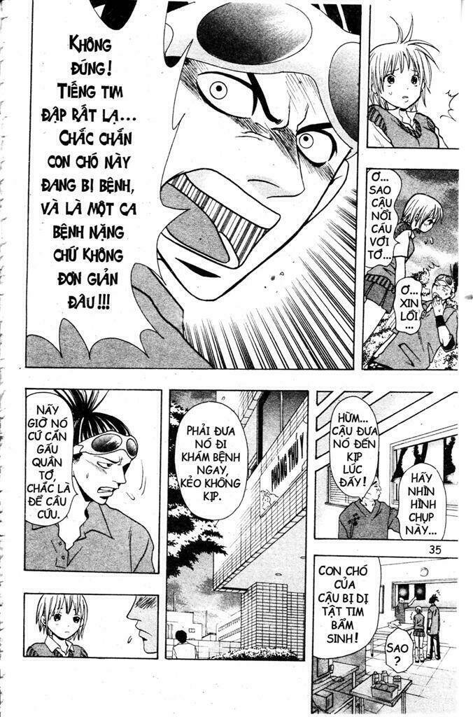 Wild Life Cuộc Sống Hoang Dã Chapter 2 - Trang 2