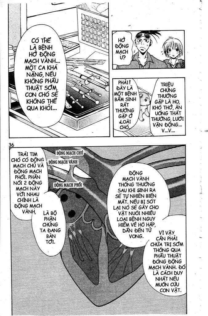 Wild Life Cuộc Sống Hoang Dã Chapter 2 - Trang 2