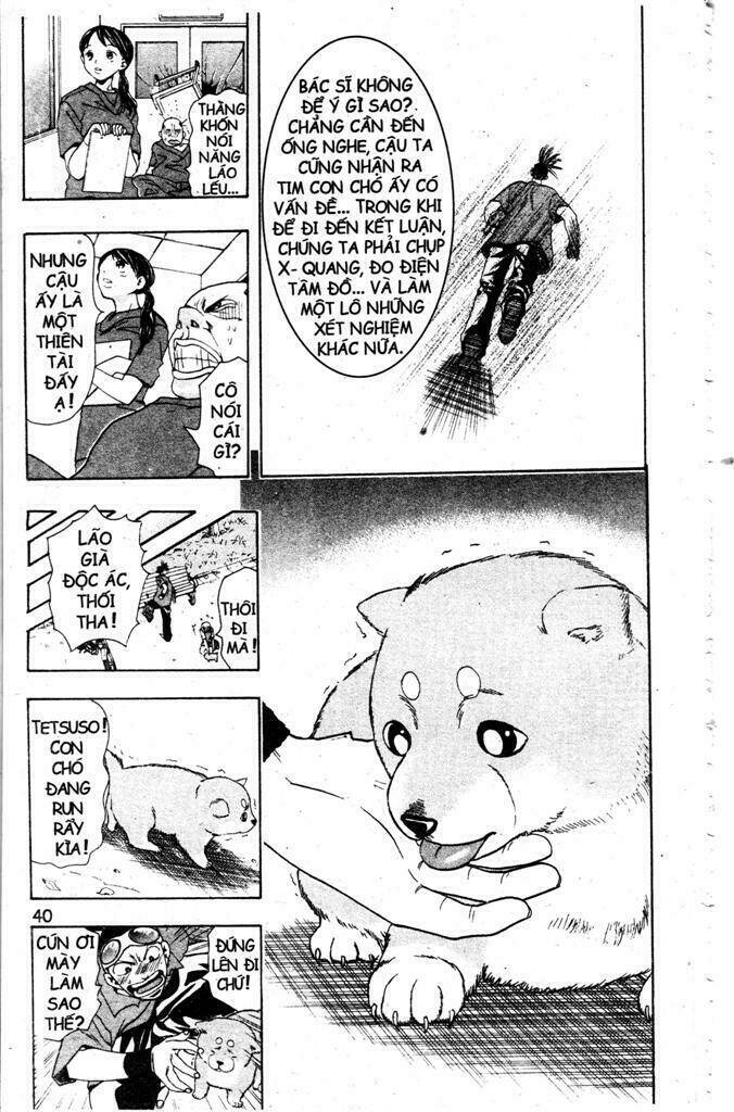 Wild Life Cuộc Sống Hoang Dã Chapter 2 - Trang 2