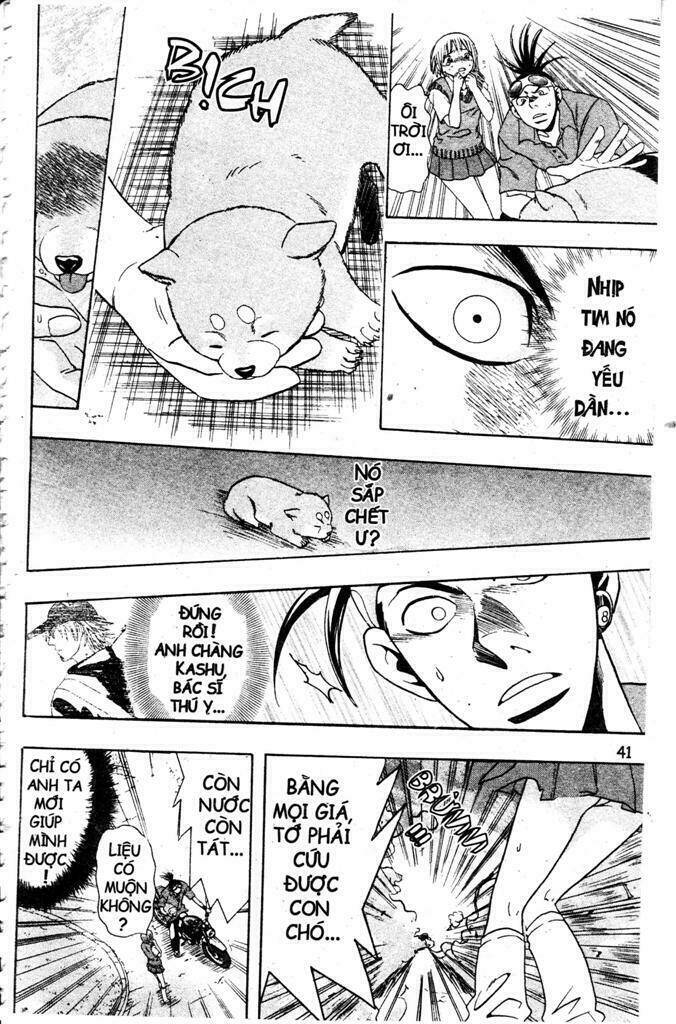 Wild Life Cuộc Sống Hoang Dã Chapter 2 - Trang 2