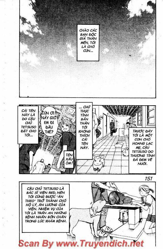 Wild Life Cuộc Sống Hoang Dã Chapter 30 - Trang 2