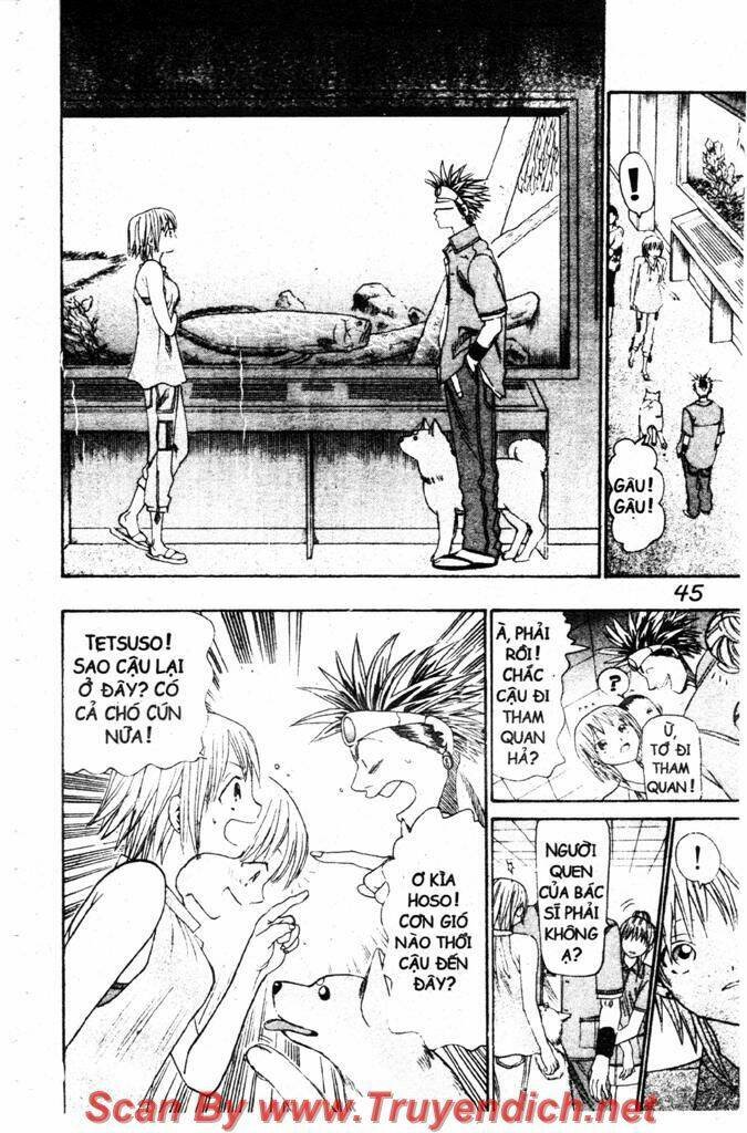 Wild Life Cuộc Sống Hoang Dã Chapter 33 - Trang 2