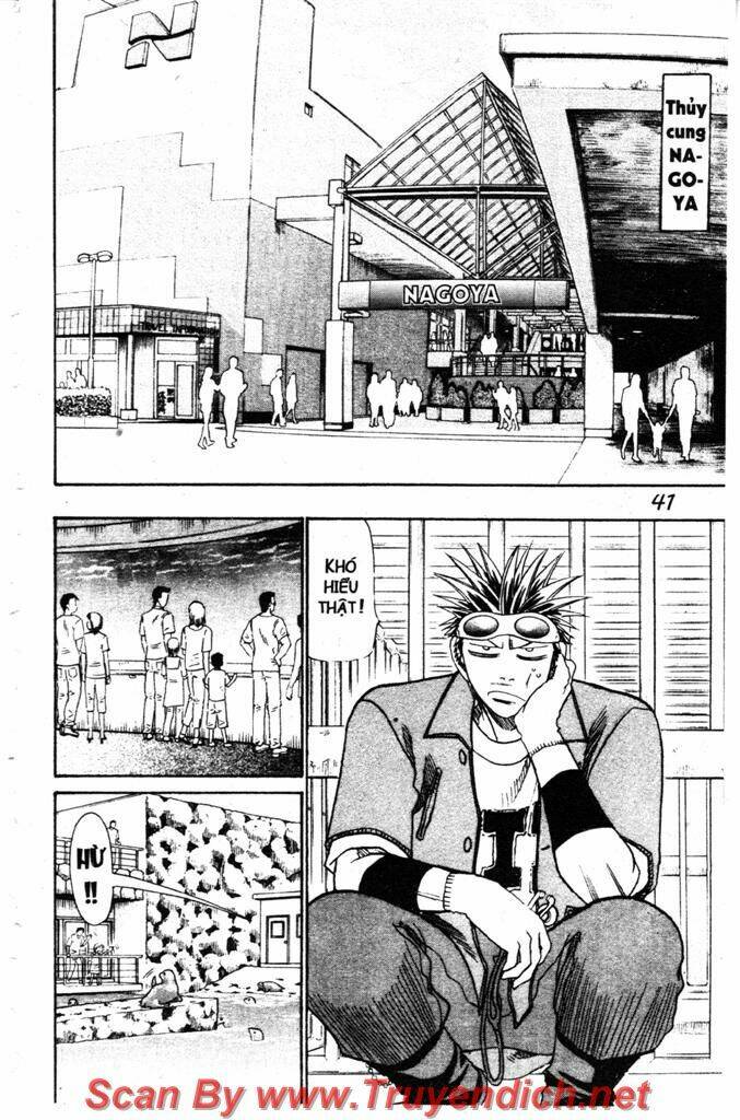 Wild Life Cuộc Sống Hoang Dã Chapter 33 - Trang 2