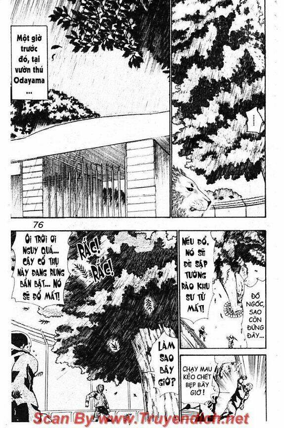 Wild Life Cuộc Sống Hoang Dã Chapter 34 - Trang 2