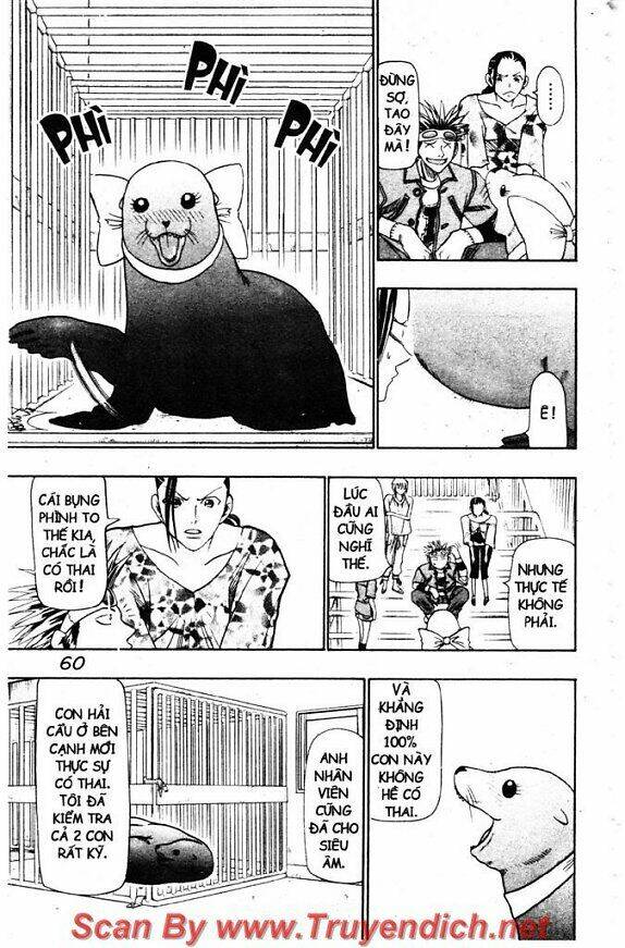 Wild Life Cuộc Sống Hoang Dã Chapter 34 - Trang 2
