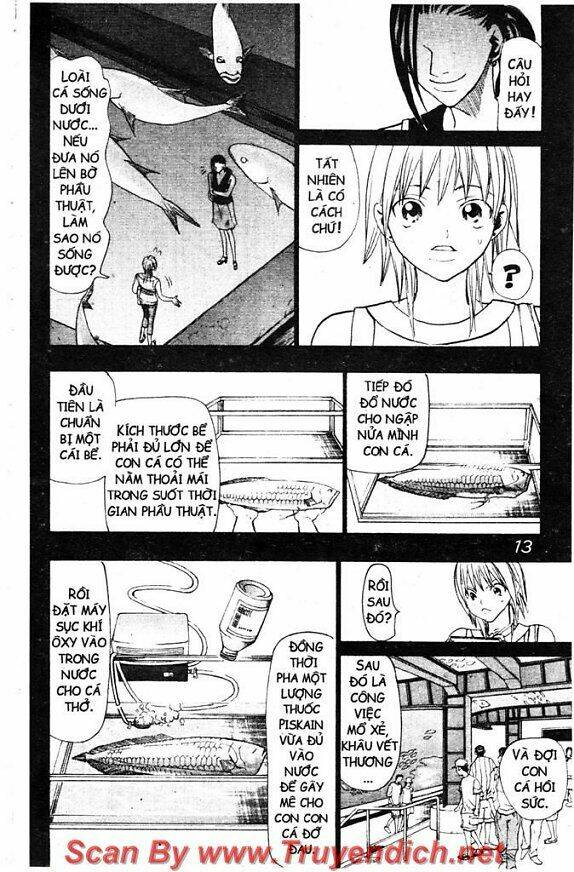 Wild Life Cuộc Sống Hoang Dã Chapter 40 - Trang 2