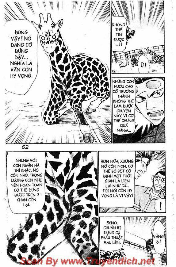 Wild Life Cuộc Sống Hoang Dã Chapter 42 - Trang 2