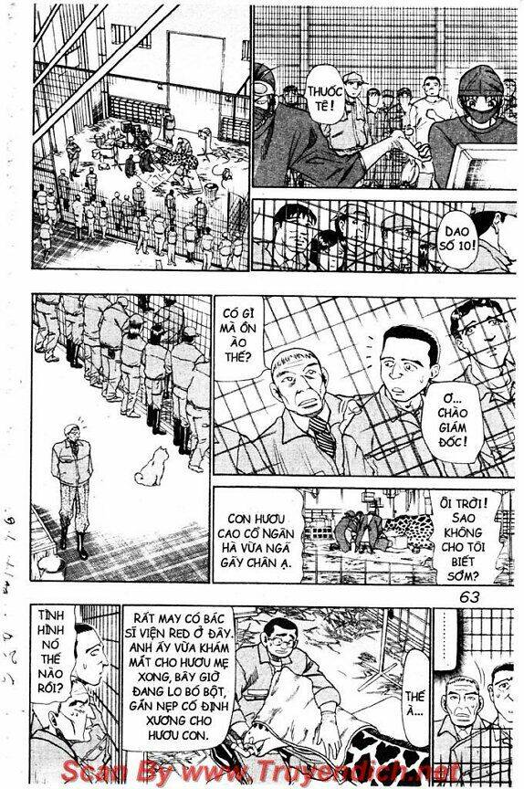 Wild Life Cuộc Sống Hoang Dã Chapter 42 - Trang 2