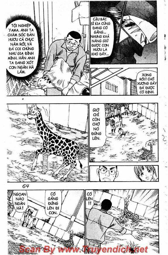 Wild Life Cuộc Sống Hoang Dã Chapter 42 - Trang 2