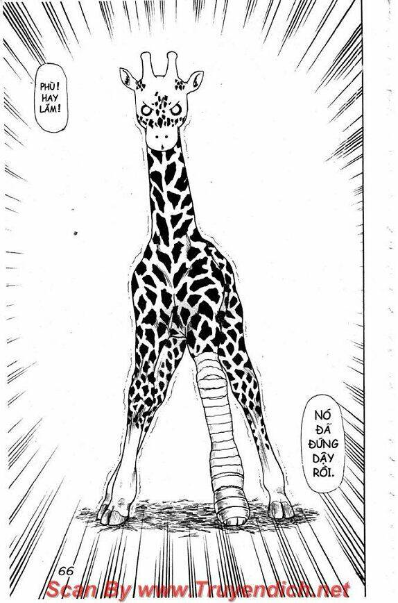 Wild Life Cuộc Sống Hoang Dã Chapter 42 - Trang 2