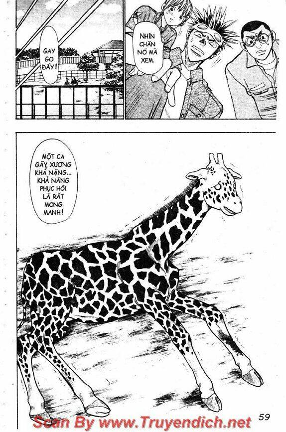 Wild Life Cuộc Sống Hoang Dã Chapter 42 - Trang 2