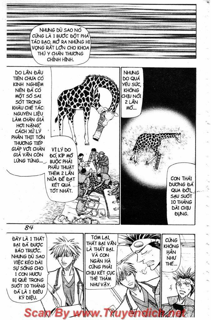 Wild Life Cuộc Sống Hoang Dã Chapter 43 - Trang 2