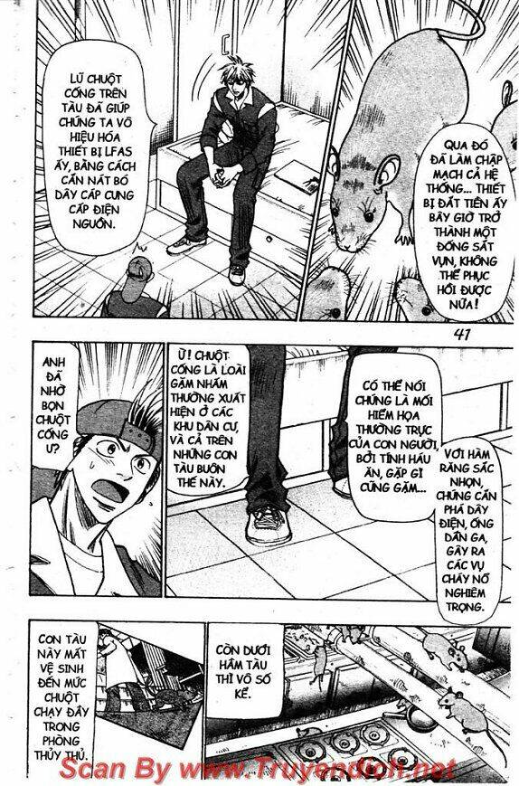 Wild Life Cuộc Sống Hoang Dã Chapter 50 - Trang 2