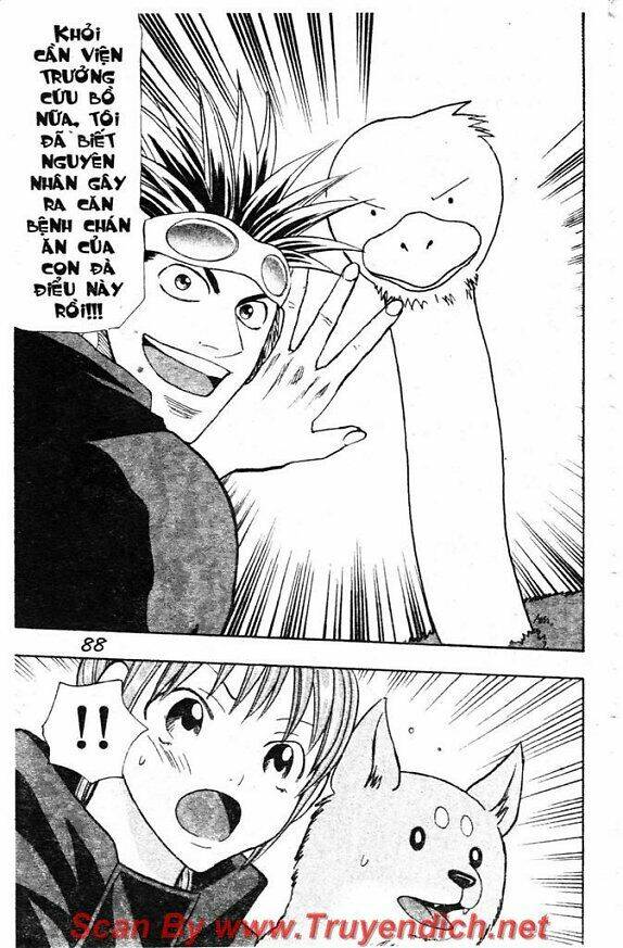 Wild Life Cuộc Sống Hoang Dã Chapter 51 - Trang 2