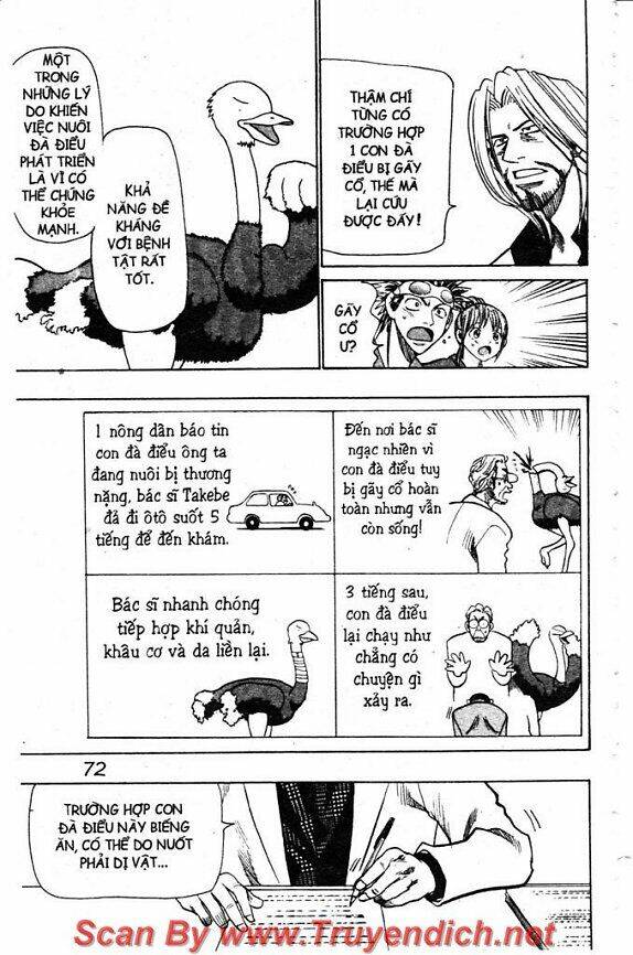 Wild Life Cuộc Sống Hoang Dã Chapter 51 - Trang 2