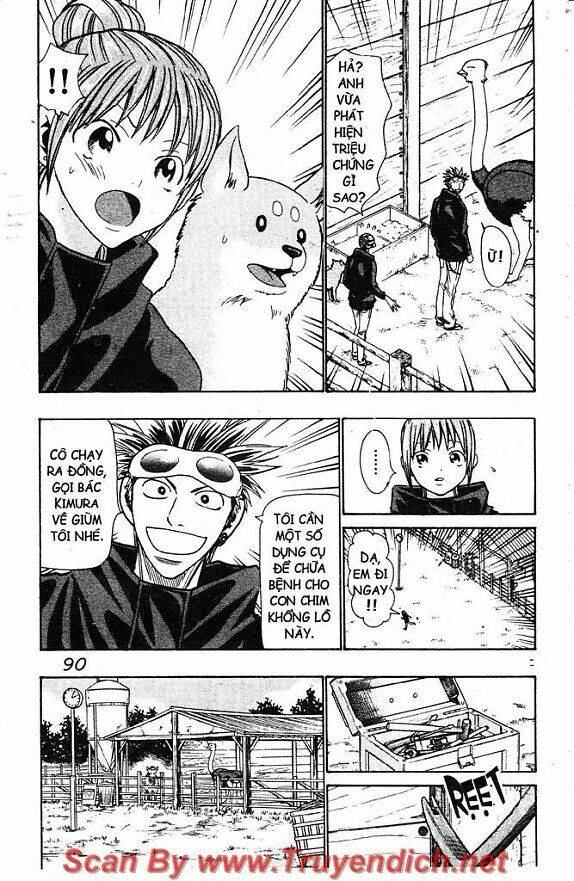 Wild Life Cuộc Sống Hoang Dã Chapter 52 - Trang 2