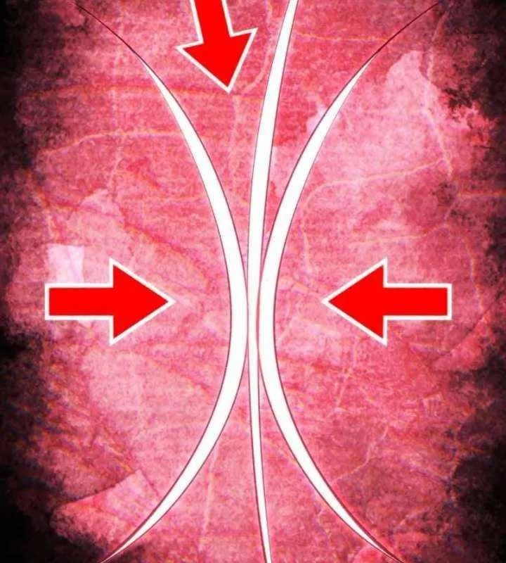 Wild Ranker Chapter 33 - Trang 2