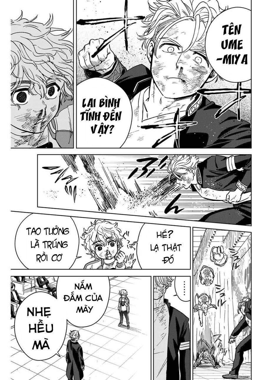 Wind Breaker (Nii Satoru) Chapter 24 - Trang 2