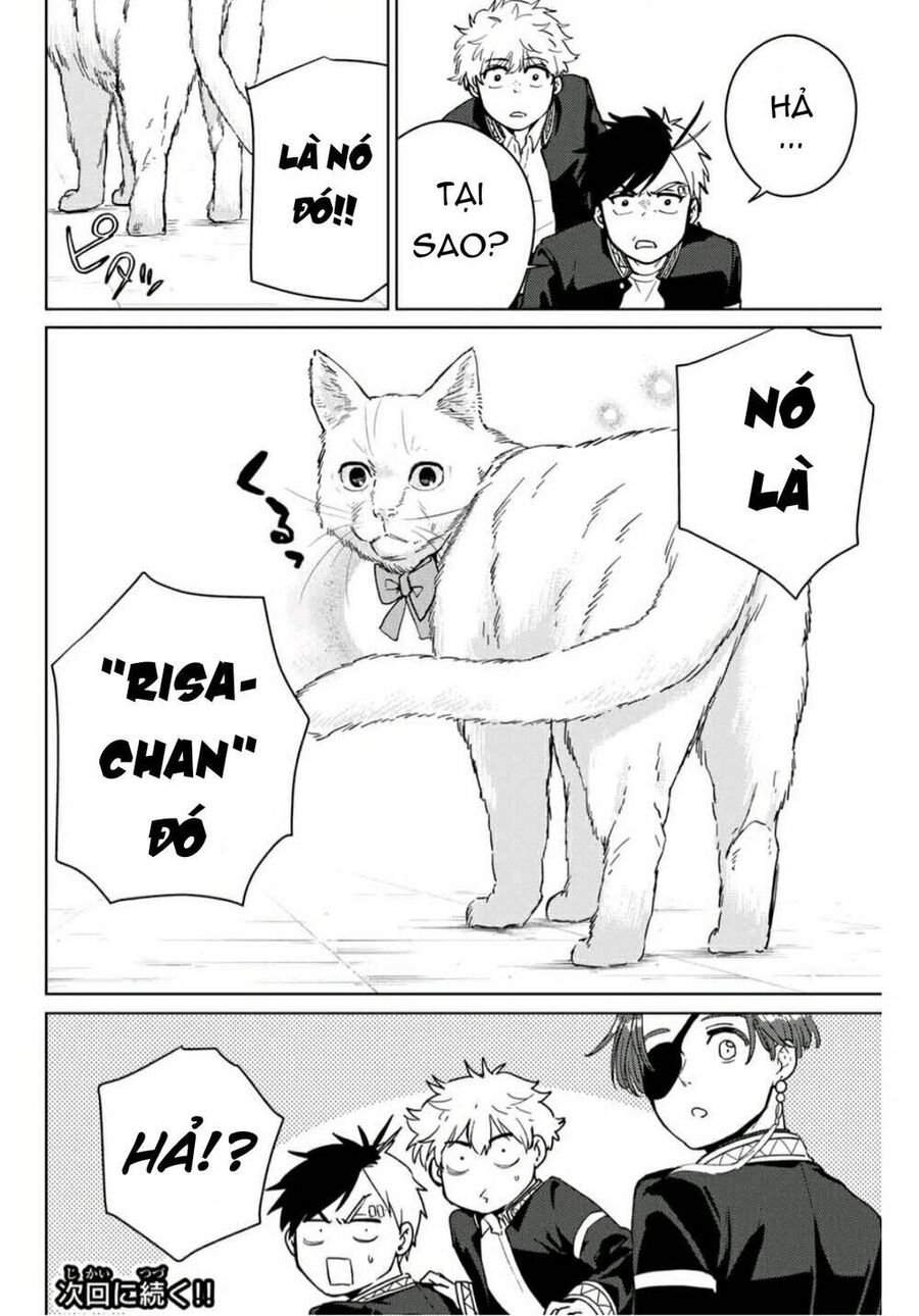 Wind Breaker (Nii Satoru) Chapter 35 - Trang 2