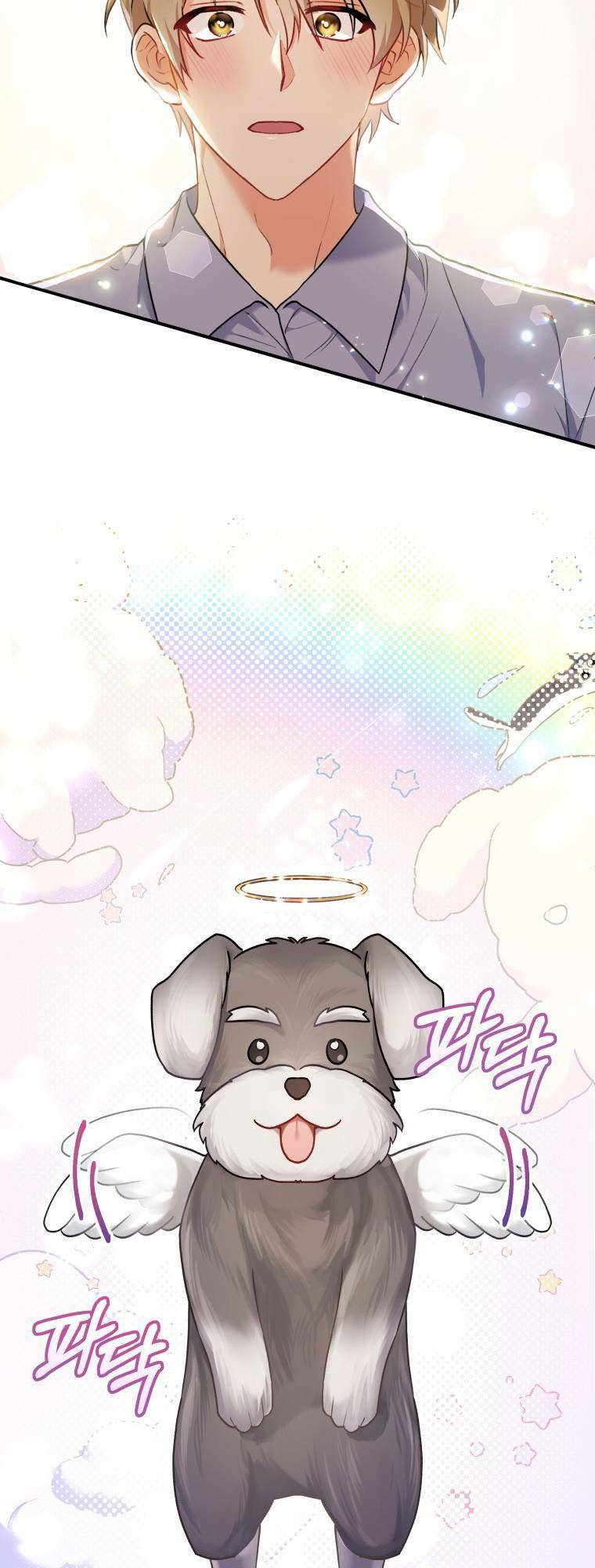 Xin Chào! Bác Sĩ Thú Y Chapter 1 - Trang 2