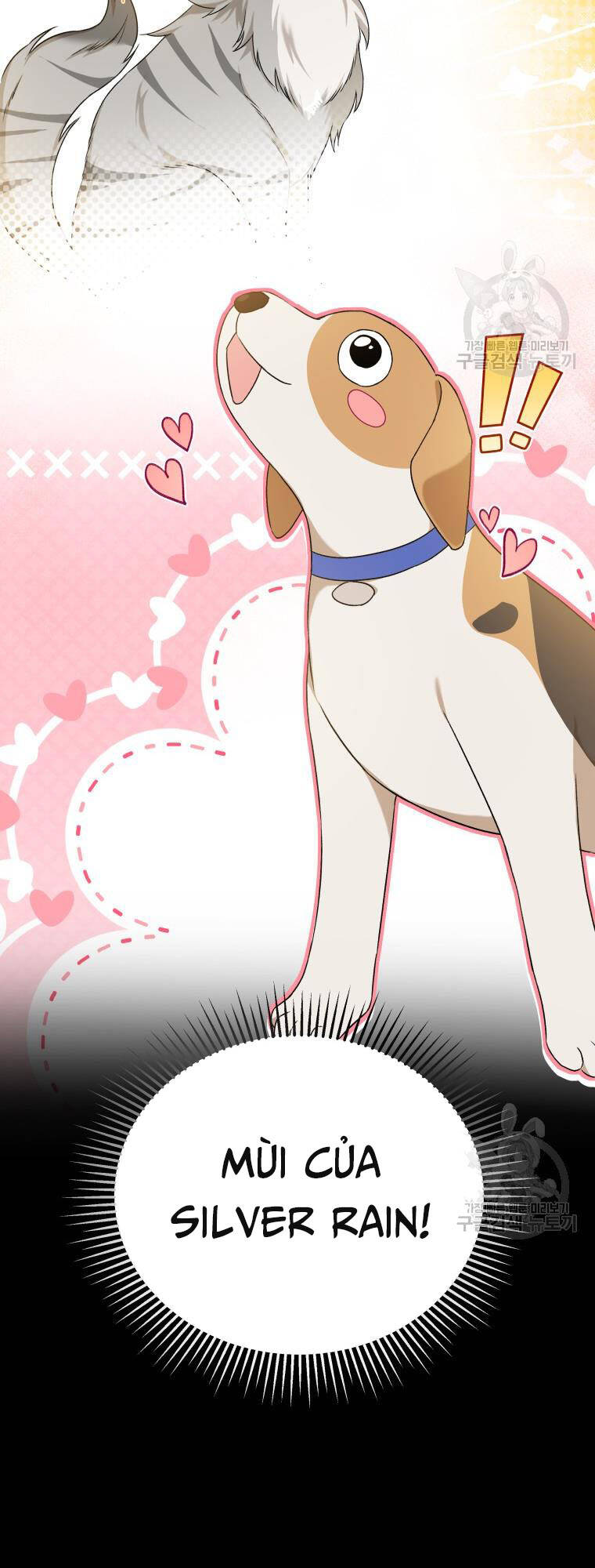 Xin Chào! Bác Sĩ Thú Y Chapter 12 - Trang 2