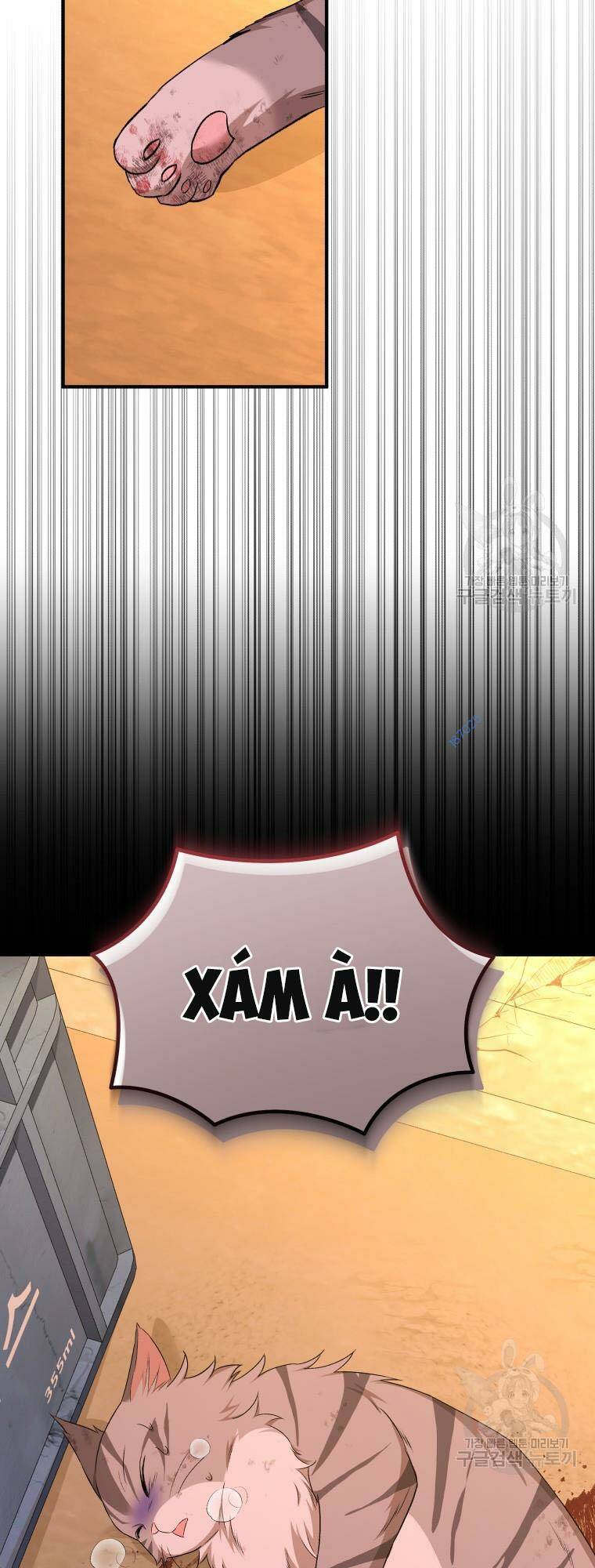 Xin Chào! Bác Sĩ Thú Y Chapter 12 - Trang 2