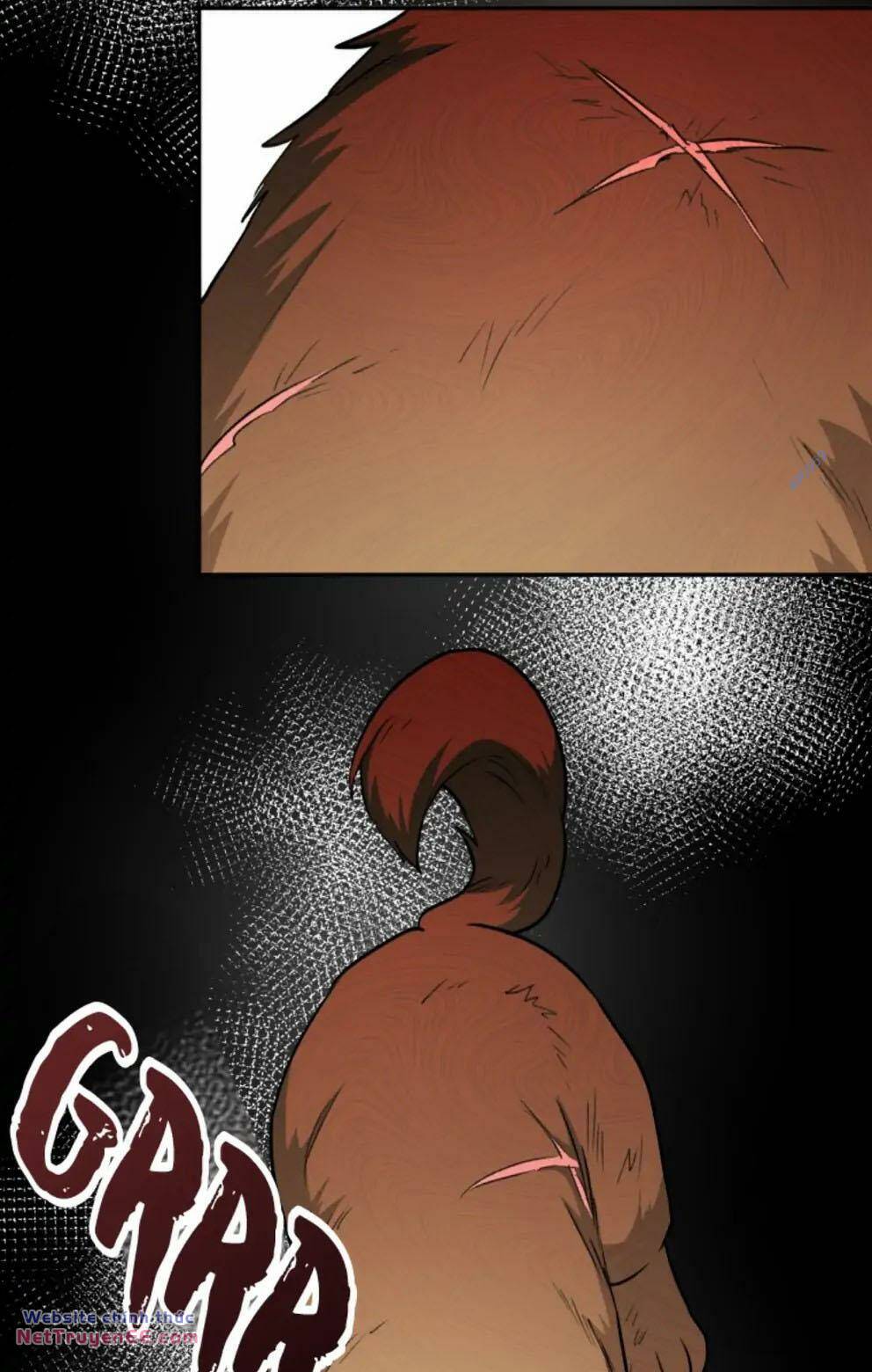 Xin Chào! Bác Sĩ Thú Y Chapter 17 - Trang 2