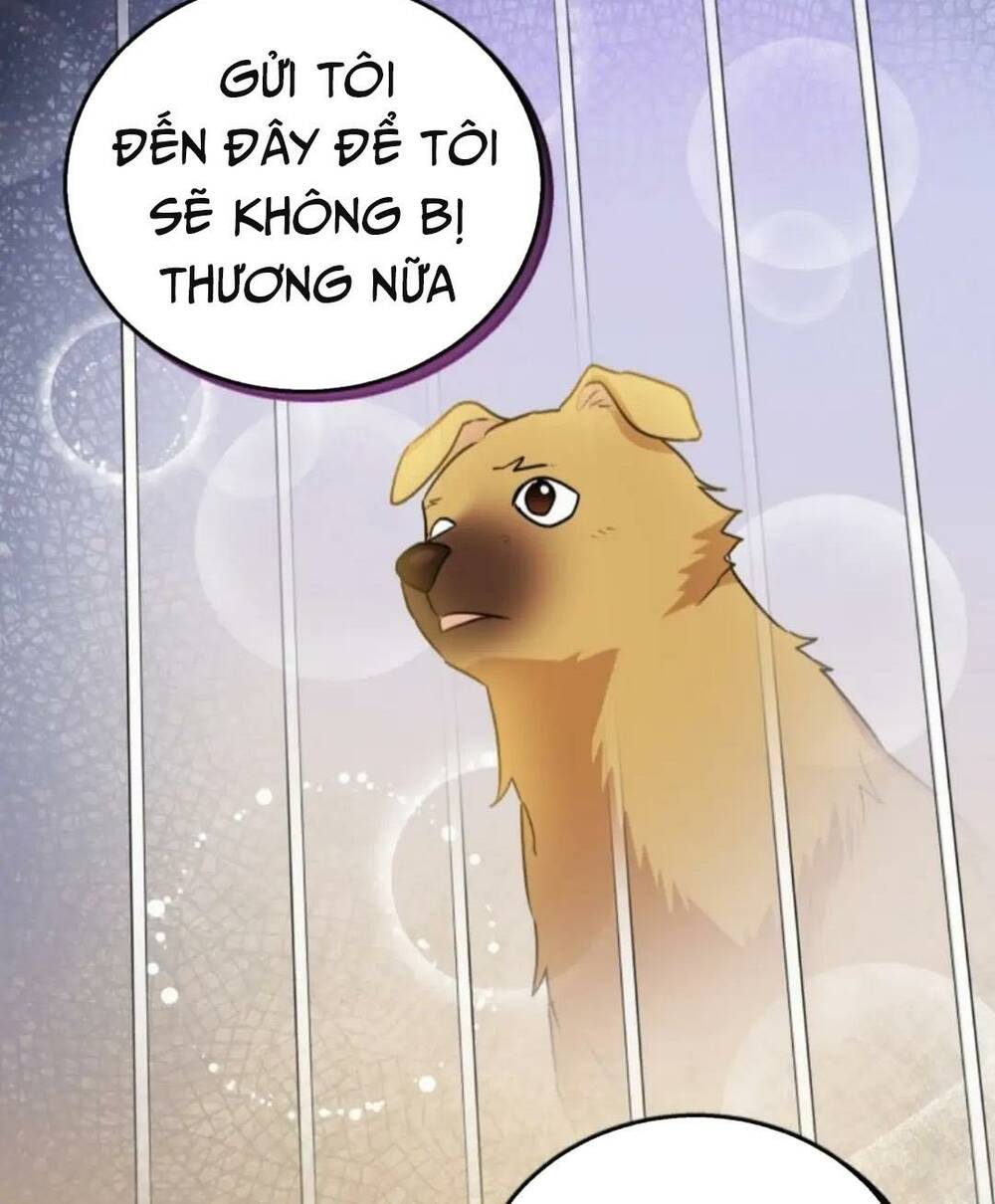 Xin Chào! Bác Sĩ Thú Y Chapter 19 - Trang 2