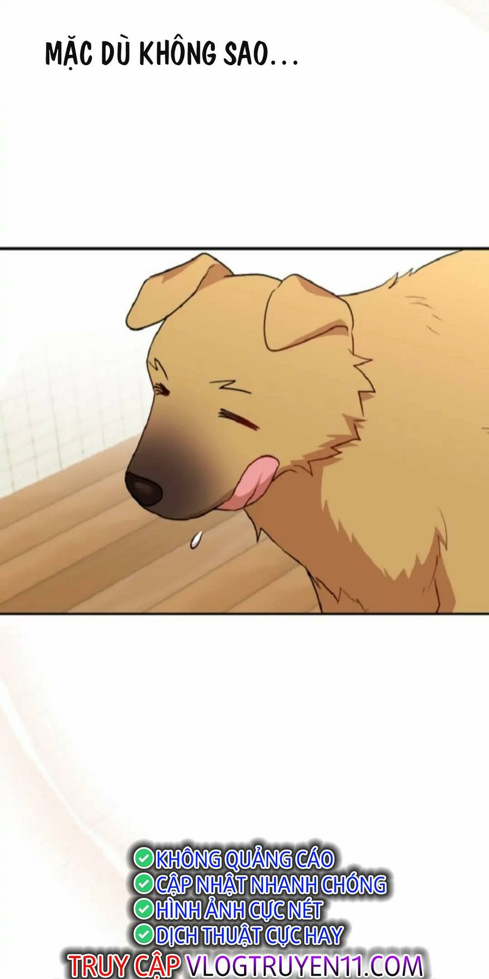 Xin Chào! Bác Sĩ Thú Y Chapter 19 - Trang 2