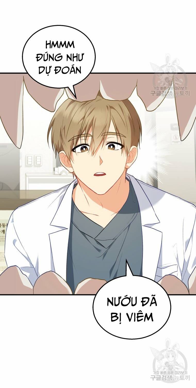 Xin Chào! Bác Sĩ Thú Y Chapter 2 - Trang 2