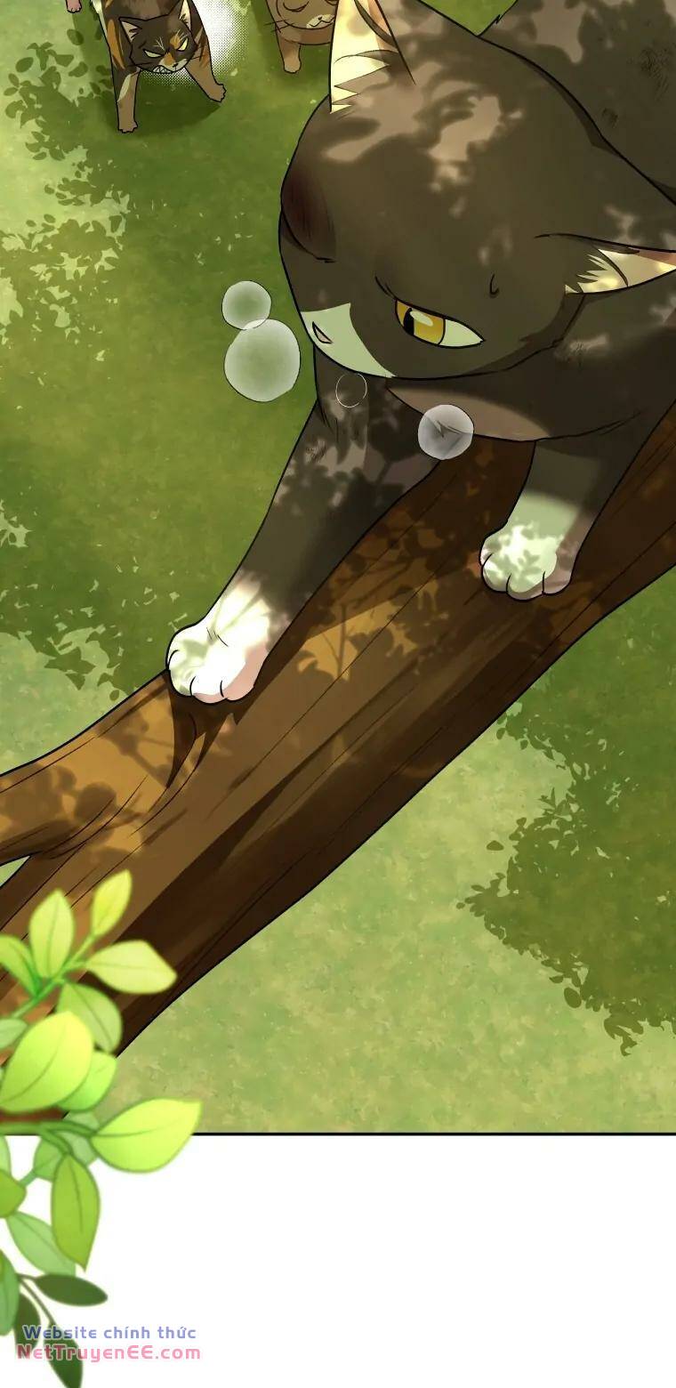 Xin Chào! Bác Sĩ Thú Y Chapter 27 - Trang 2