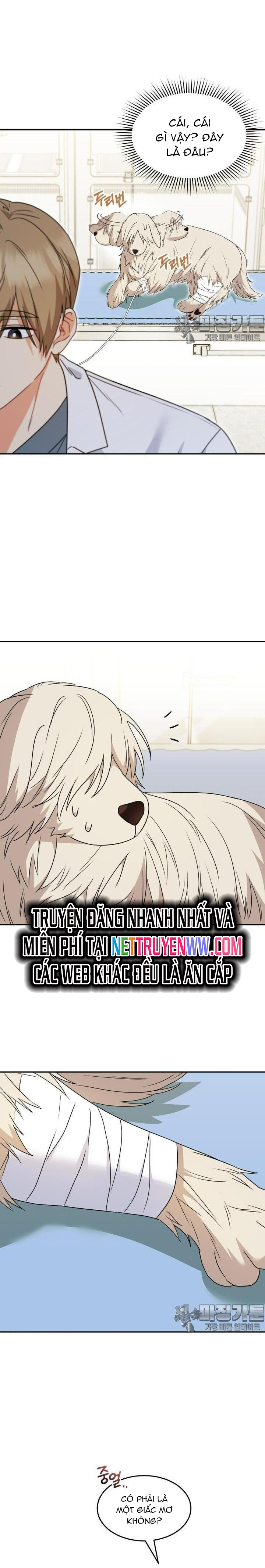 Xin Chào! Bác Sĩ Thú Y Chapter 49 - Trang 2