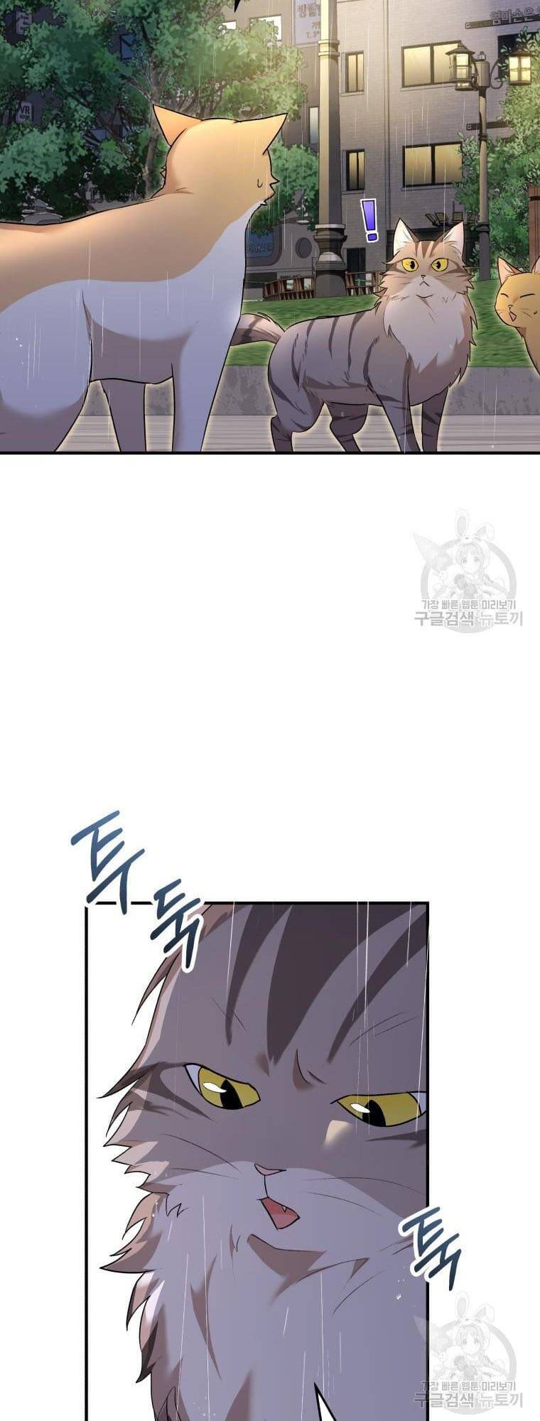 Xin Chào! Bác Sĩ Thú Y Chapter 6 - Trang 2