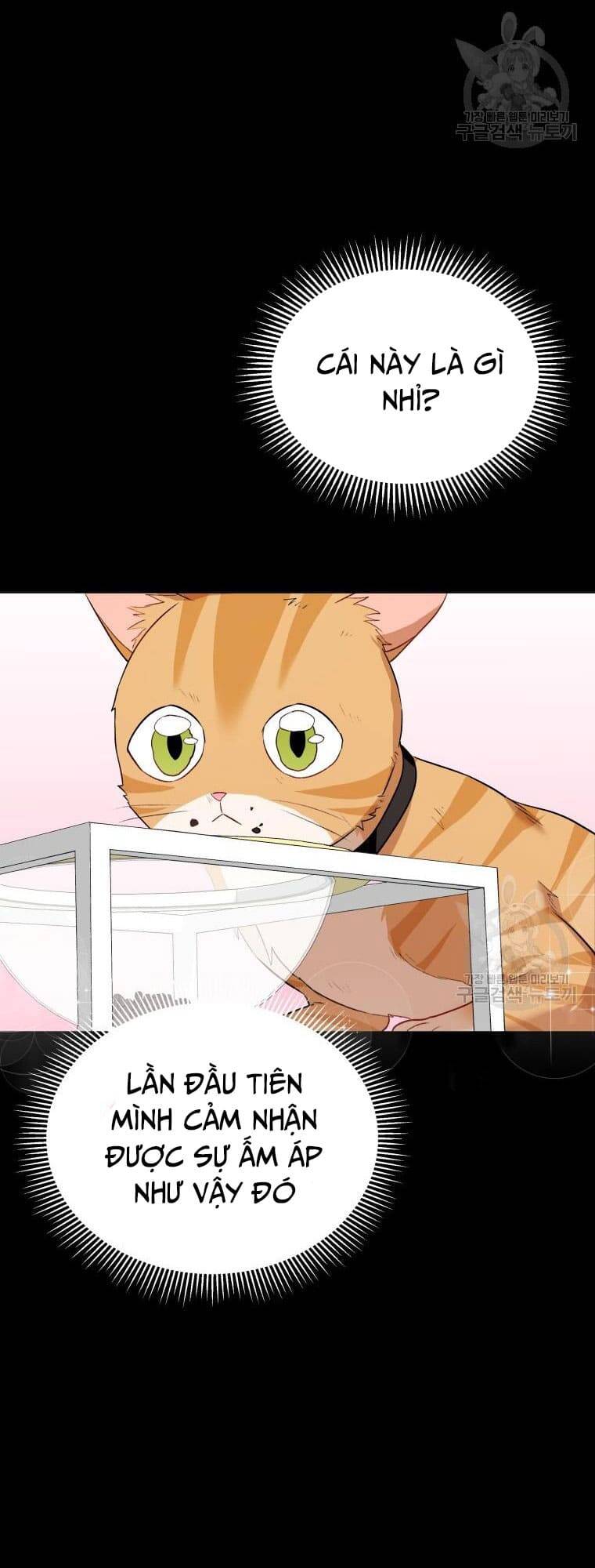 Xin Chào! Bác Sĩ Thú Y Chapter 7 - Trang 2