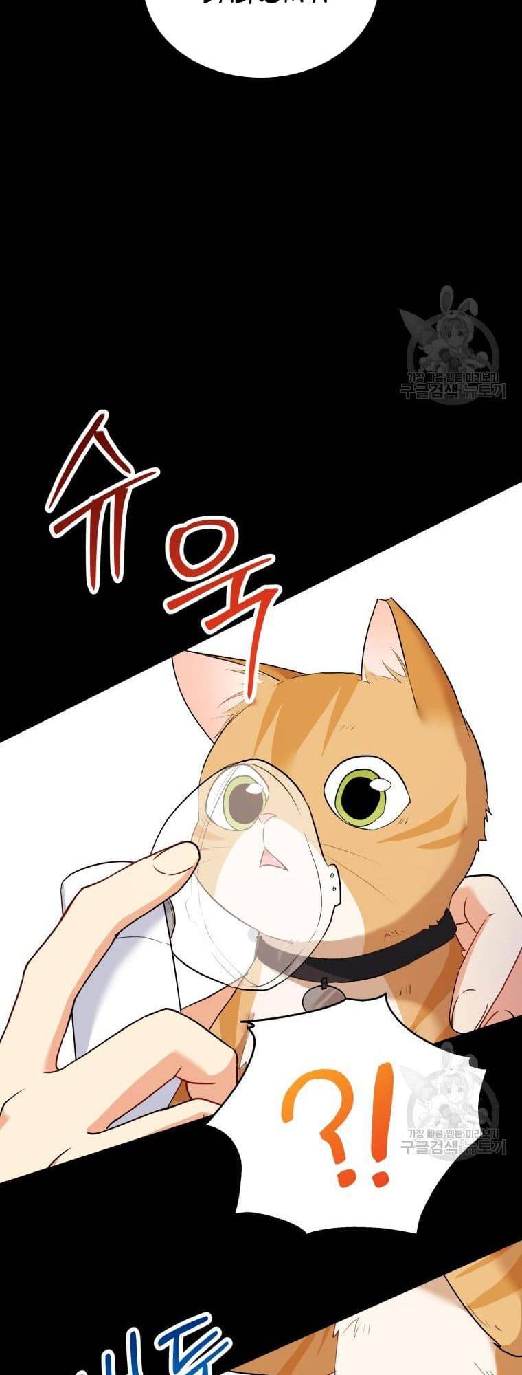 Xin Chào! Bác Sĩ Thú Y Chapter 7 - Trang 2