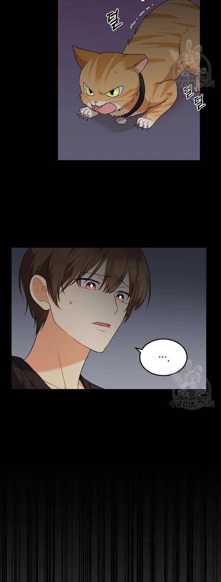 Xin Chào! Bác Sĩ Thú Y Chapter 8 - Trang 2