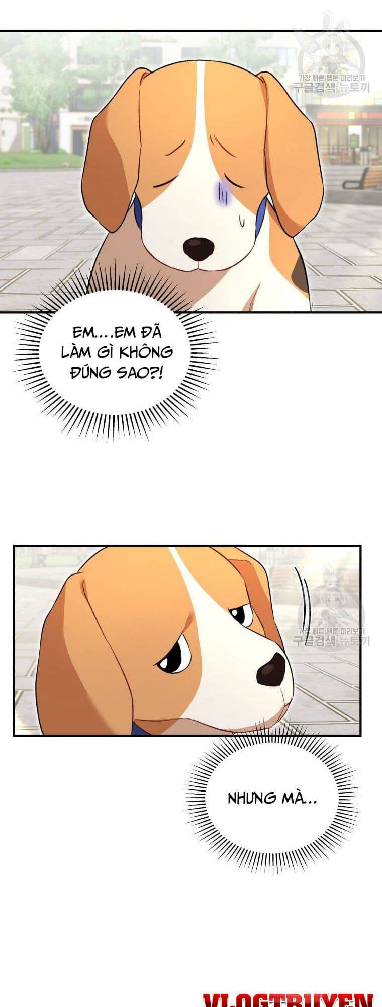 Xin Chào! Bác Sĩ Thú Y Chapter 9 - Trang 2