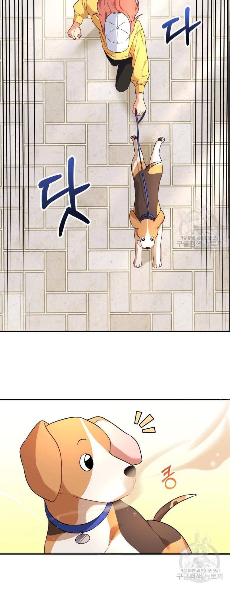 Xin Chào! Bác Sĩ Thú Y Chapter 9 - Trang 2