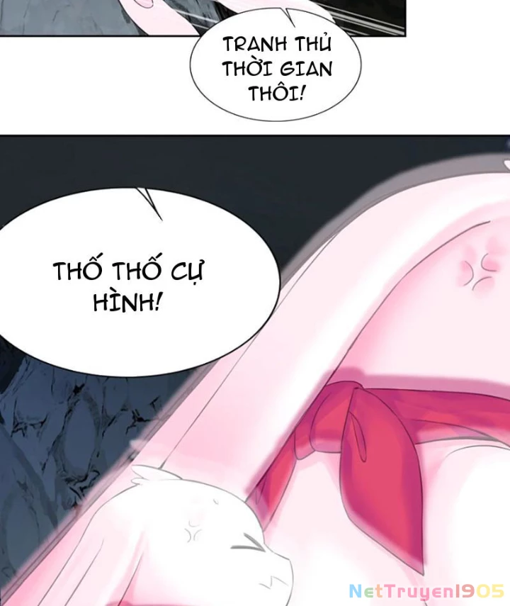 Xong Rồi, Ta Bị Sủng Thú Của Mình Bao Vây Rồi! Chapter 12 - Trang 2