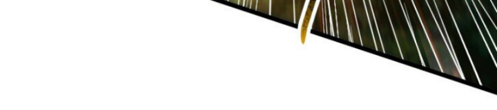 Xuân Thu Bá Đồ Chapter 237 - Trang 2